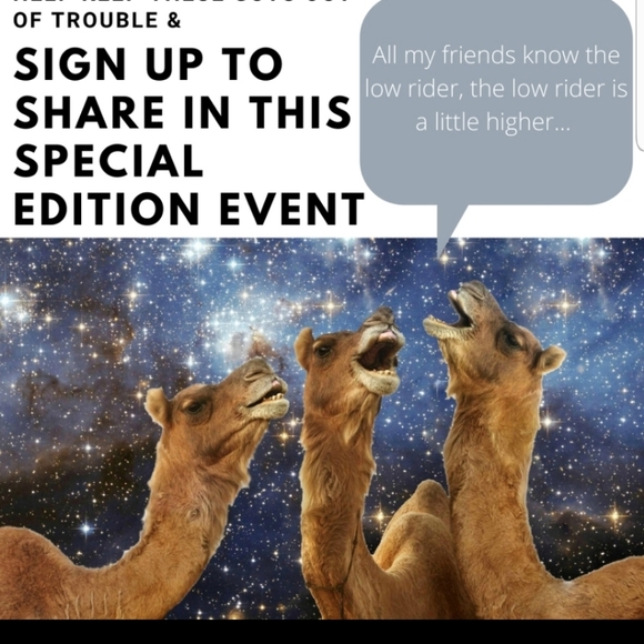 PARTICIPANT - Picture 11 of 12